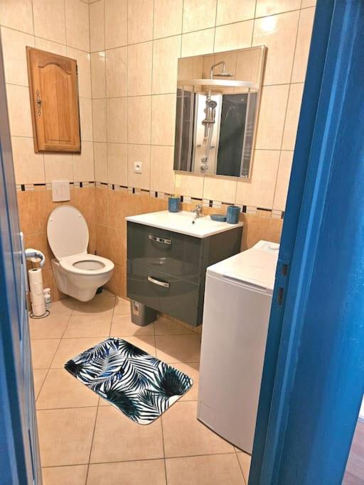 Spacieux Et Charmant Appartement De 47 M2 Charleville-Mézières Kültér fotó
